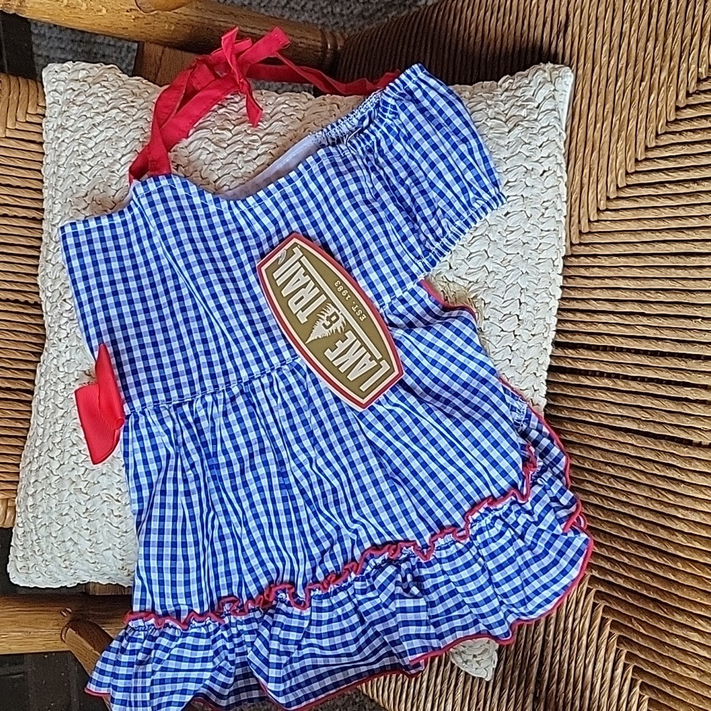 Lake & Trail, blue gingham dress with red bow, size M (for dogs) - Picture 3 of 8